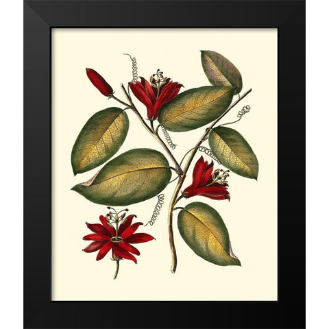 Jennas Flowers III Black Modern Wood Framed Art Print by Sellier