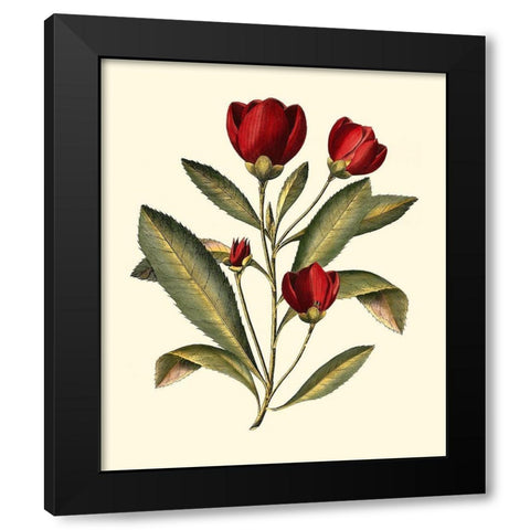 Jennas Flowers IV Black Modern Wood Framed Art Print with Double Matting by Sellier