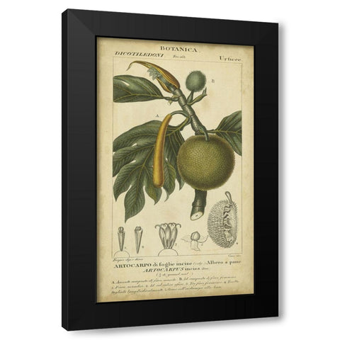 Exotic Botanica IV Black Modern Wood Framed Art Print by Turpin