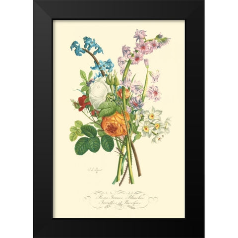 Plentiful Bouquet IV Black Modern Wood Framed Art Print by Prevost, T.L.
