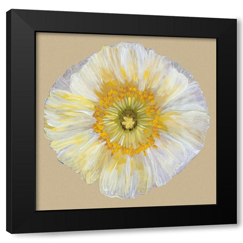 Poppy Blossom II Black Modern Wood Framed Art Print with Double Matting by Ludwig, Alicia