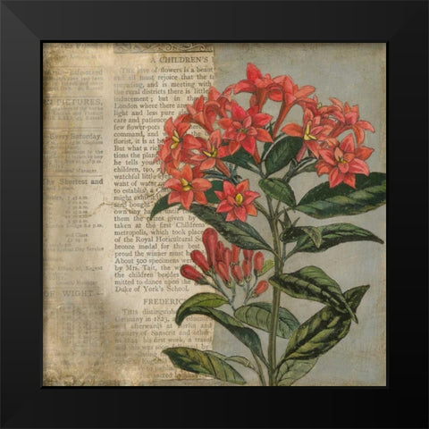 Vintage Fleur Rouge II Black Modern Wood Framed Art Print by Meagher, Megan