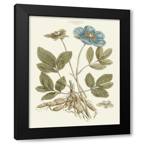 Bashful Blue Florals I Black Modern Wood Framed Art Print by Miller, John