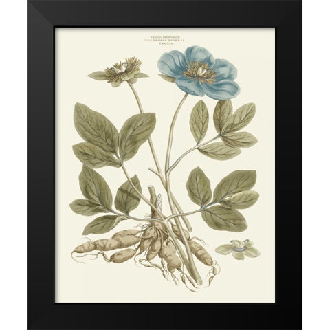 Bashful Blue Florals I Black Modern Wood Framed Art Print by Miller, John