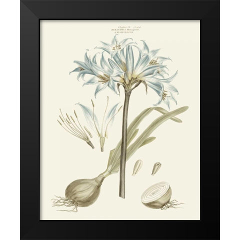 Bashful Blue Florals II Black Modern Wood Framed Art Print by Miller, John