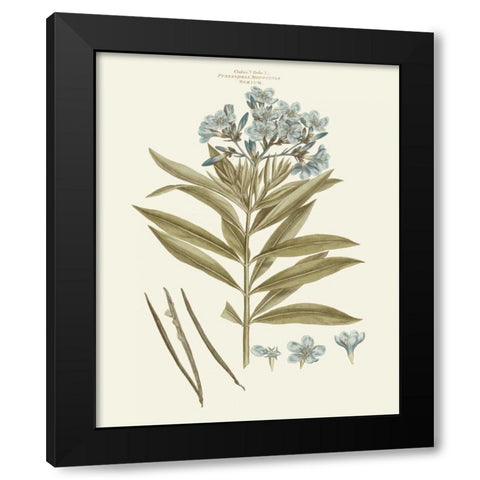 Bashful Blue Florals III Black Modern Wood Framed Art Print by Miller, John