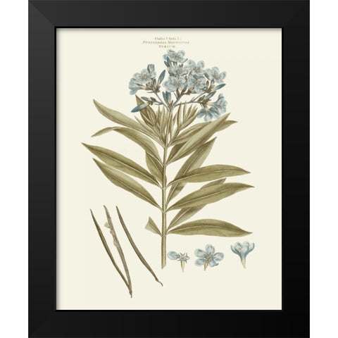 Bashful Blue Florals III Black Modern Wood Framed Art Print by Miller, John