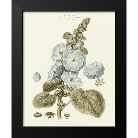 Bashful Blue Florals IV Black Modern Wood Framed Art Print by Miller, John