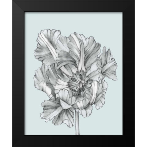 Silvery Blue Tulips I Black Modern Wood Framed Art Print by Goldberger, Jennifer