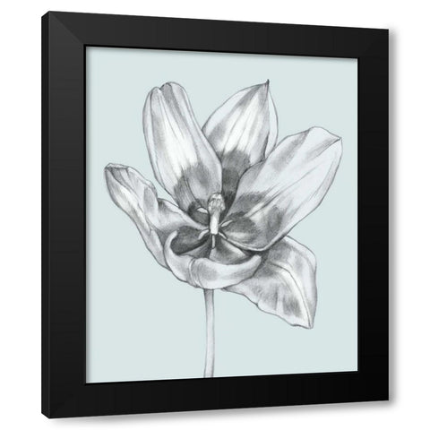 Silvery Blue Tulips II Black Modern Wood Framed Art Print by Goldberger, Jennifer