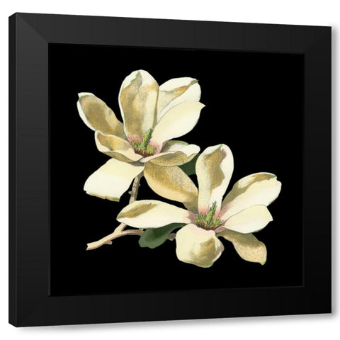 Midnight Magnolias II Black Modern Wood Framed Art Print by Chabal Dussurgey