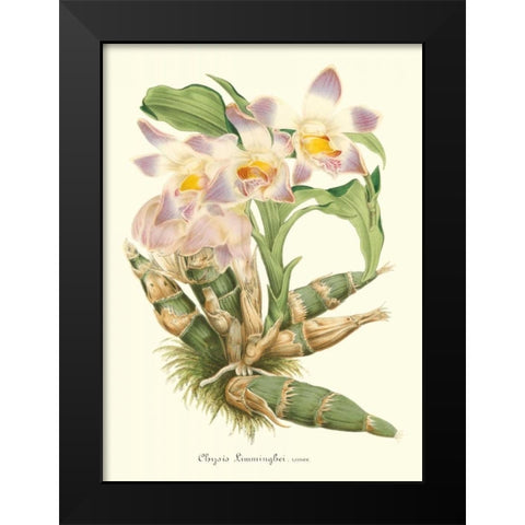 Lavender Orchids I Black Modern Wood Framed Art Print by Stroobant, P.
