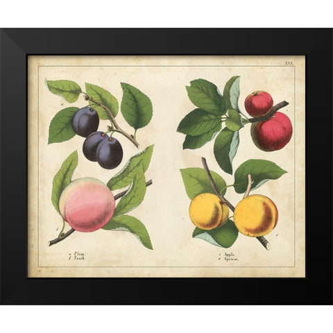 Kitchen Fruits I Black Modern Wood Framed Art Print by Unknown