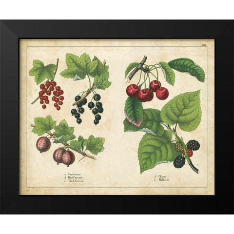 Kitchen Fruits III Black Modern Wood Framed Art Print by Unknown