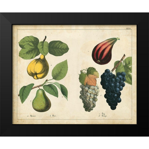 Kitchen Fruits IV Black Modern Wood Framed Art Print by Unknown