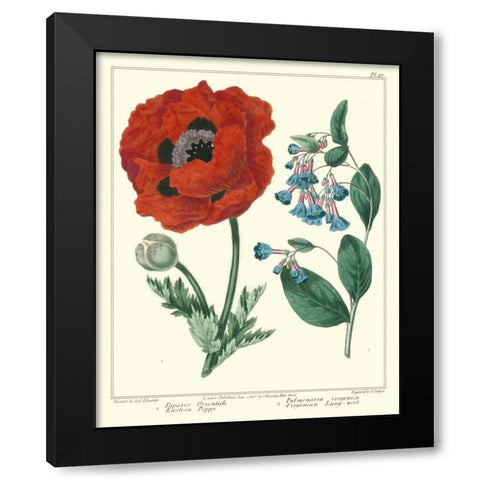 Gardeners Delight I Black Modern Wood Framed Art Print with Double Matting by Edwards, Sydenham