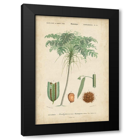 Tropical Botanique IV Black Modern Wood Framed Art Print by Vision Studio