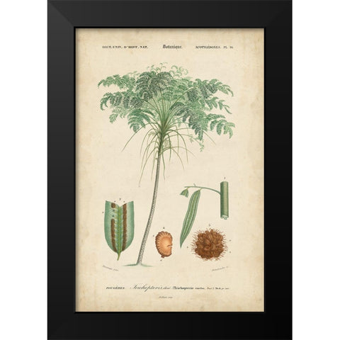 Tropical Botanique IV Black Modern Wood Framed Art Print by Vision Studio