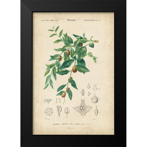 Tropical Botanique VII Black Modern Wood Framed Art Print by Vision Studio