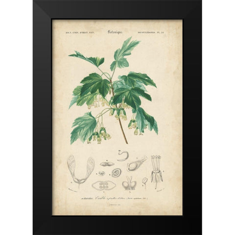 Tropical Botanique VIII Black Modern Wood Framed Art Print by Vision Studio