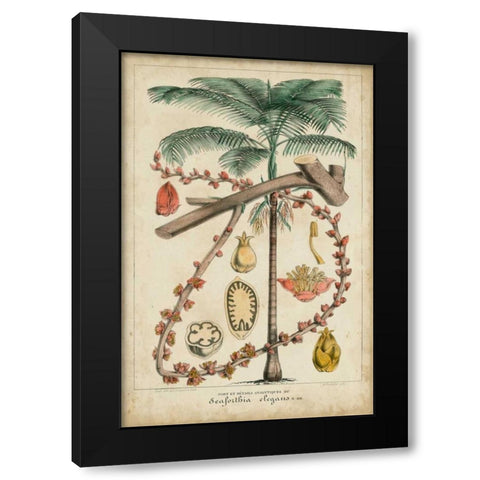 Palma Exotica II Black Modern Wood Framed Art Print with Double Matting by Vision Studio