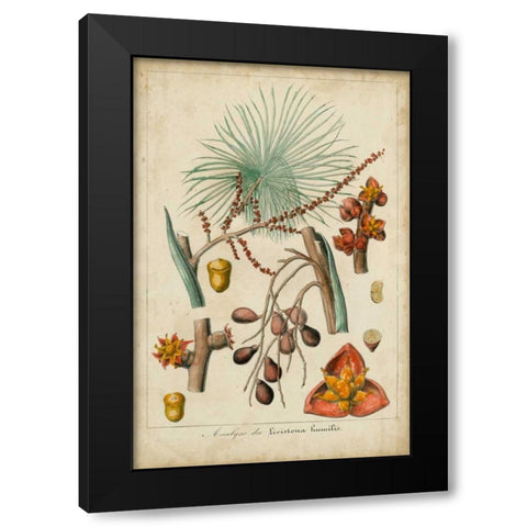 Palma Exotica III Black Modern Wood Framed Art Print by Vision Studio
