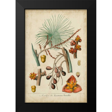 Palma Exotica III Black Modern Wood Framed Art Print by Vision Studio