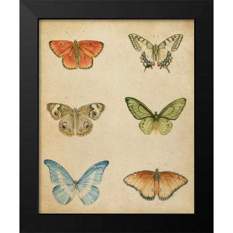Butterfly Varietal II Black Modern Wood Framed Art Print by Meagher, Megan