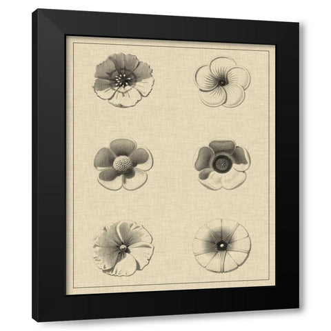 Floral Rosette I Black Modern Wood Framed Art Print with Double Matting by Vision Studio