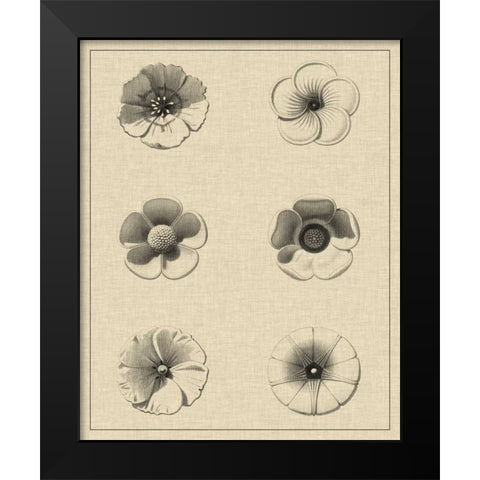 Floral Rosette I Black Modern Wood Framed Art Print by Vision Studio