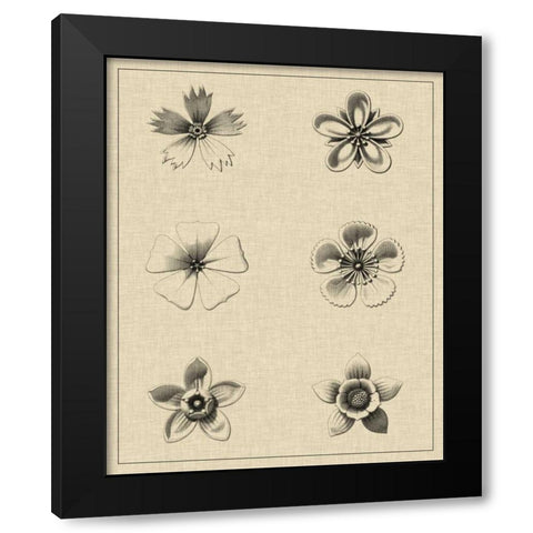 Floral Rosette II Black Modern Wood Framed Art Print by Vision Studio