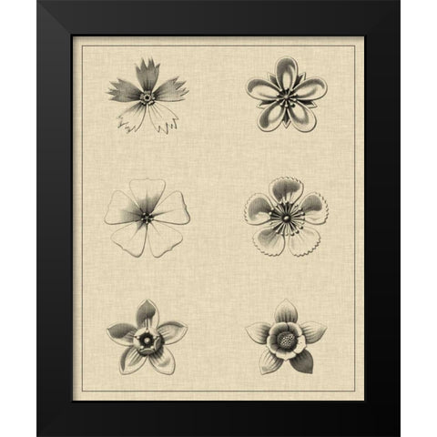 Floral Rosette II Black Modern Wood Framed Art Print by Vision Studio