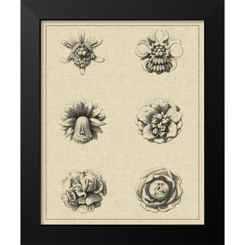 Floral Rosette III Black Modern Wood Framed Art Print by Vision Studio