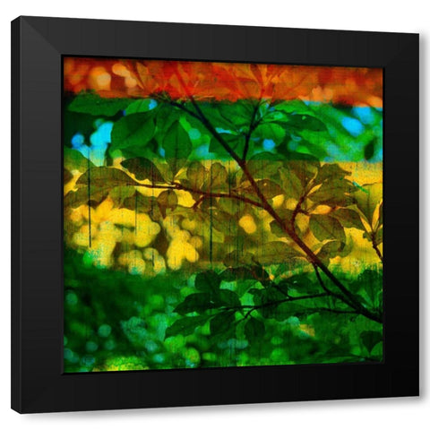 Abstract Leaf Study I Black Modern Wood Framed Art Print with Double Matting by Jasper, Sisa