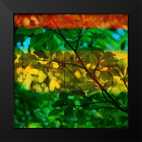 Abstract Leaf Study I Black Modern Wood Framed Art Print by Jasper, Sisa