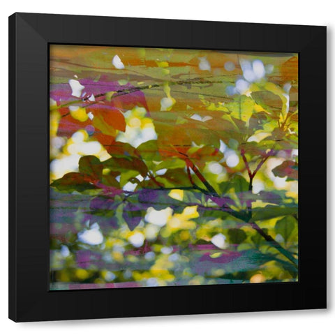 Abstract Leaf Study II Black Modern Wood Framed Art Print by Jasper, Sisa