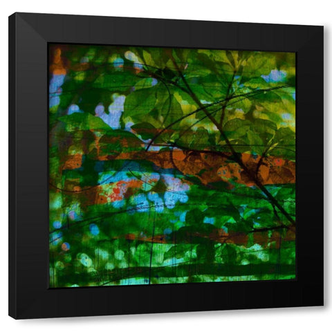 Abstract Leaf Study IV Black Modern Wood Framed Art Print by Jasper, Sisa