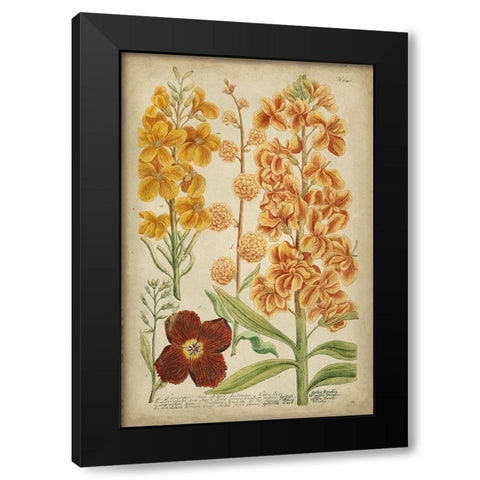 Weinmann Tropical Floral I Black Modern Wood Framed Art Print by Weinmann