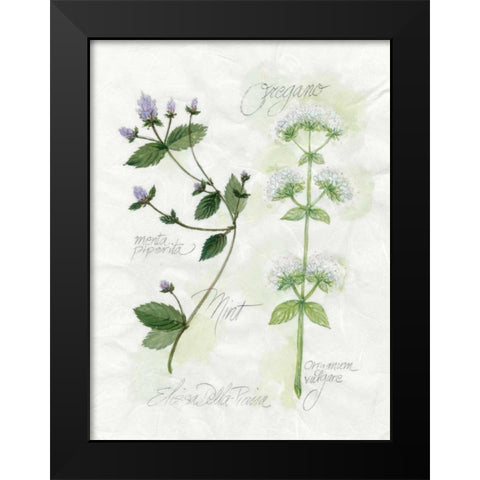 Oregano and Mint Black Modern Wood Framed Art Print by Della-Piana, Elissa