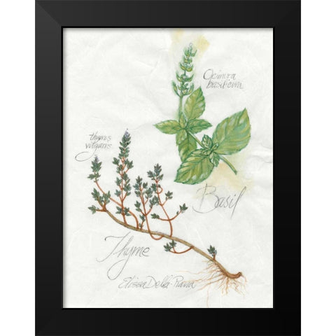 Basil and Thyme Black Modern Wood Framed Art Print by Della-Piana, Elissa
