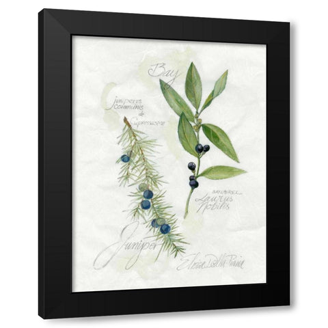 Bay Leaf and Juniper Black Modern Wood Framed Art Print by Della-Piana, Elissa