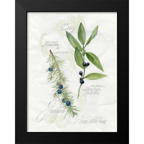 Bay Leaf and Juniper Black Modern Wood Framed Art Print by Della-Piana, Elissa