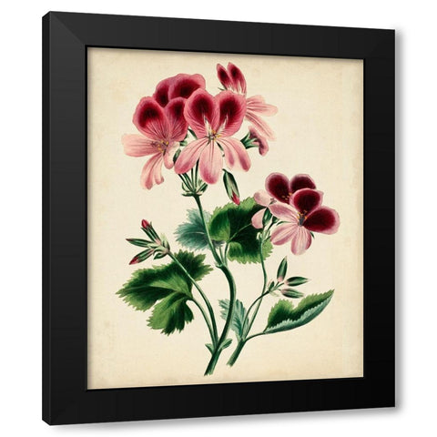 Natures Romance IV Black Modern Wood Framed Art Print by Vision Studio