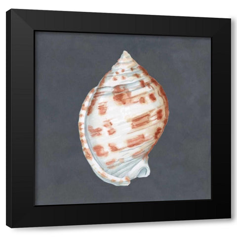 Shell on Slate I Black Modern Wood Framed Art Print by Meagher, Megan