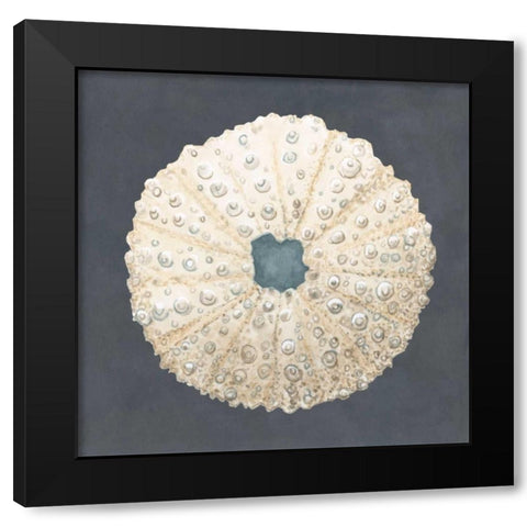Shell on Slate VII Black Modern Wood Framed Art Print with Double Matting by Meagher, Megan