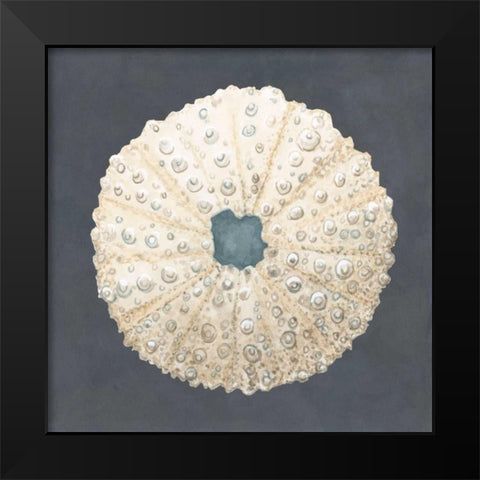 Shell on Slate VII Black Modern Wood Framed Art Print by Meagher, Megan