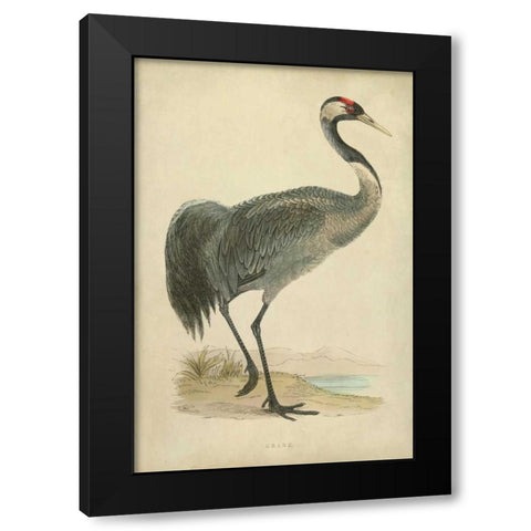 Morris Crane I Black Modern Wood Framed Art Print by Morris