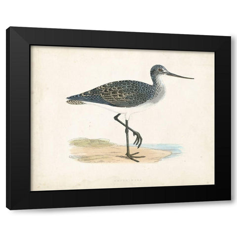 Morris Sandpiper III Black Modern Wood Framed Art Print by Morris