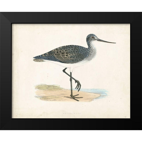 Morris Sandpiper III Black Modern Wood Framed Art Print by Morris