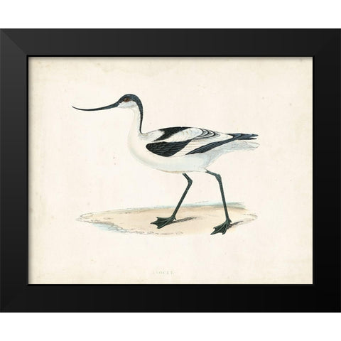 Morris Sandpiper IV Black Modern Wood Framed Art Print by Morris